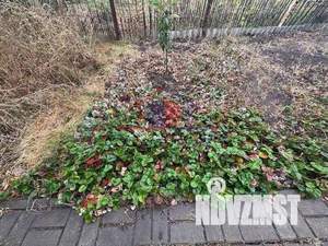 Дом 65м², 1-этажный, участок 5 сот.  