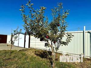 Дом 114м², 1-этажный, участок 8 сот.  