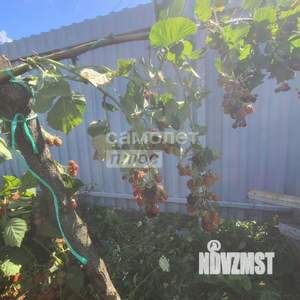 Дом 81м², 1-этажный, участок 15 сот.  