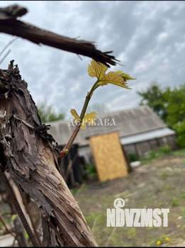 Дом 21м², 1-этажный, участок 6 сот.  