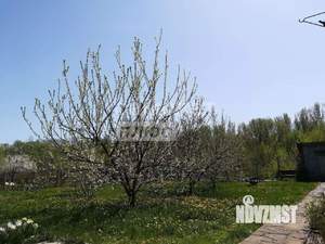 Дом 100м², 2-этажный, участок 12 сот.  