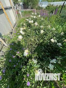 Дом 50м², 1-этажный, участок 12 сот.  