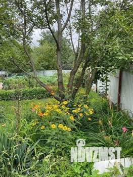 Дом 21м², 2-этажный, участок 4 сот.  