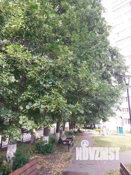 Дом 85м², 1-этажный, участок 6 сот.  