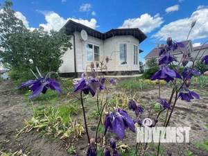 Дом 107м², 1-этажный, участок 15 сот.  