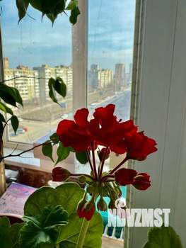 3-к квартира, вторичка, 83м2, 8/13 этаж